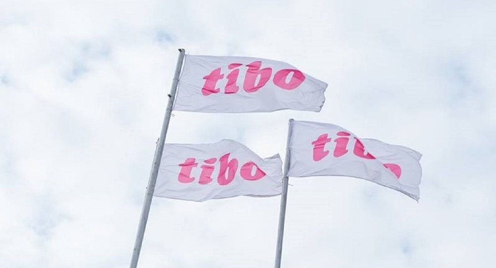 Результаты участия ИИТ БГУИР в выставке «ТИБО-2017»